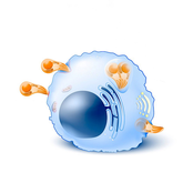 Toxoplasm (Plague Mix)