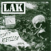 Einst Rebellen by Lak