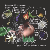 Pacing: Real poetry is always about plants and birds and trees and the animals and milk and honey breathing in the pink but real life is behind a screen