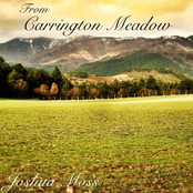 From Carrington Meadow