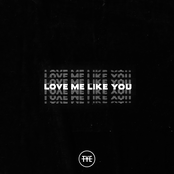 The Young Escape: Love Me Like You