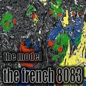 The Model