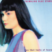 Farewell To Forever by Trembling Blue Stars