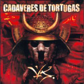 Last Warning by Cadaveres De Tortugas