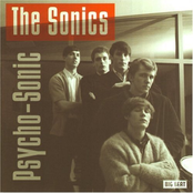 The Hustler by The Sonics