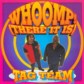 Tag Team: Whoomp! [There It Is]