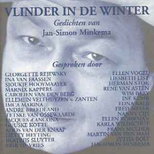 Vlinder In De Winter