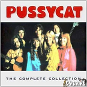 Every Beat Of My Heart by Pussycat