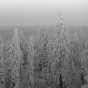 Likene i Snøen...