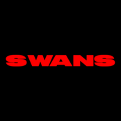 Swans - Single