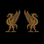 Liverbirds (Split)