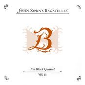 John Zorn's Bagatelles