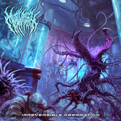 Irreversible Aberration