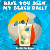 Have You Seen My Beach Ball?