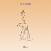 Cycles Perfecta