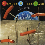 Arrows by Crosby, Stills & Nash