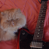 Connections and Feelings (2014-2022)