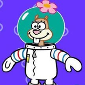 sandy cheeks