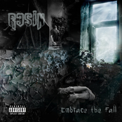 Embrace The Fall
