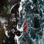 The How Will Show Up