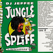 Jungle Spliff