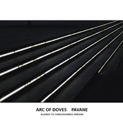 Pavane (Allergy To Consciousness Version)