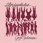 El Album by Aterciopelados