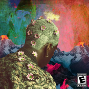 Where the Flowers Bloom (Redux)