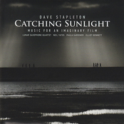 Dave Stapleton: Catching Sunlight