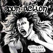 Haukkaa Henkeä - LP