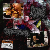 Sarcophagia / Purge Liquids