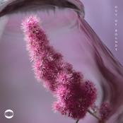 Koastle: Out Of Bounds