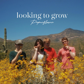 Paperflower: Looking to Grow