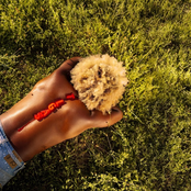 The Last Great American Summer