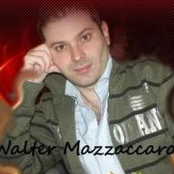 walter mazzaccaro