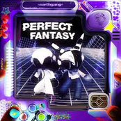 PERFECT FANTASY