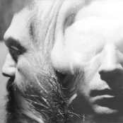 Dejalosangrar, Vol. 3: Habach / Polanco / Robles