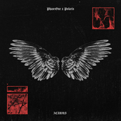 Icarus - Single