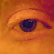 Psychonaughts Hard at Work