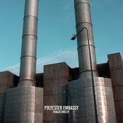 You'll Be Gone by Polyester Embassy