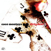 It's All Your Fault by Coco Montoya