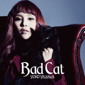 Bad Cat by 矢沢洋子
