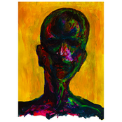 Shape (of Narrative)