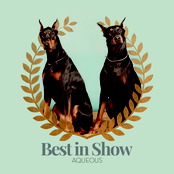 Aqueous: Best in Show