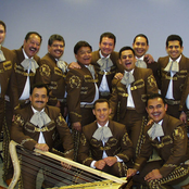 Mariachi Vargas De Tecalitlán