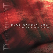 Live in a Dead System