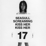 Double Life by Seagull Screaming Kiss Her Kiss Her