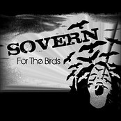 For the Birds (pre-Release)