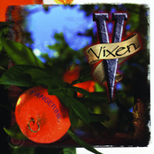 Tangerine by Vixen