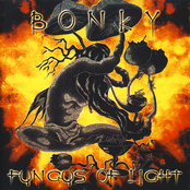 Bonky & Fungus of Light